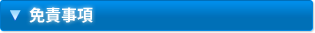 免責事項